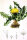 Gewöhnl. Löwenzahn (Taraxacum officinale), Samen