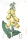 Großblütiger Fingerhut (Digitalis grandiflora), Pflanze