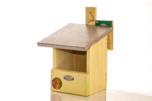 NistkRotkehlchen (1).jpg